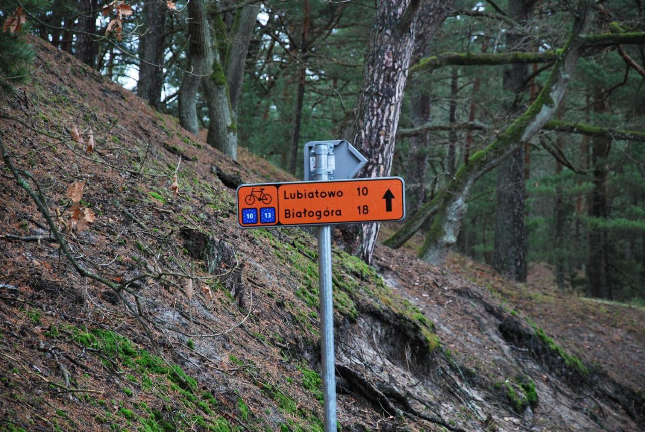Forest House Sasino-Spa Sauna Balia Zewnętrze zdjęcie