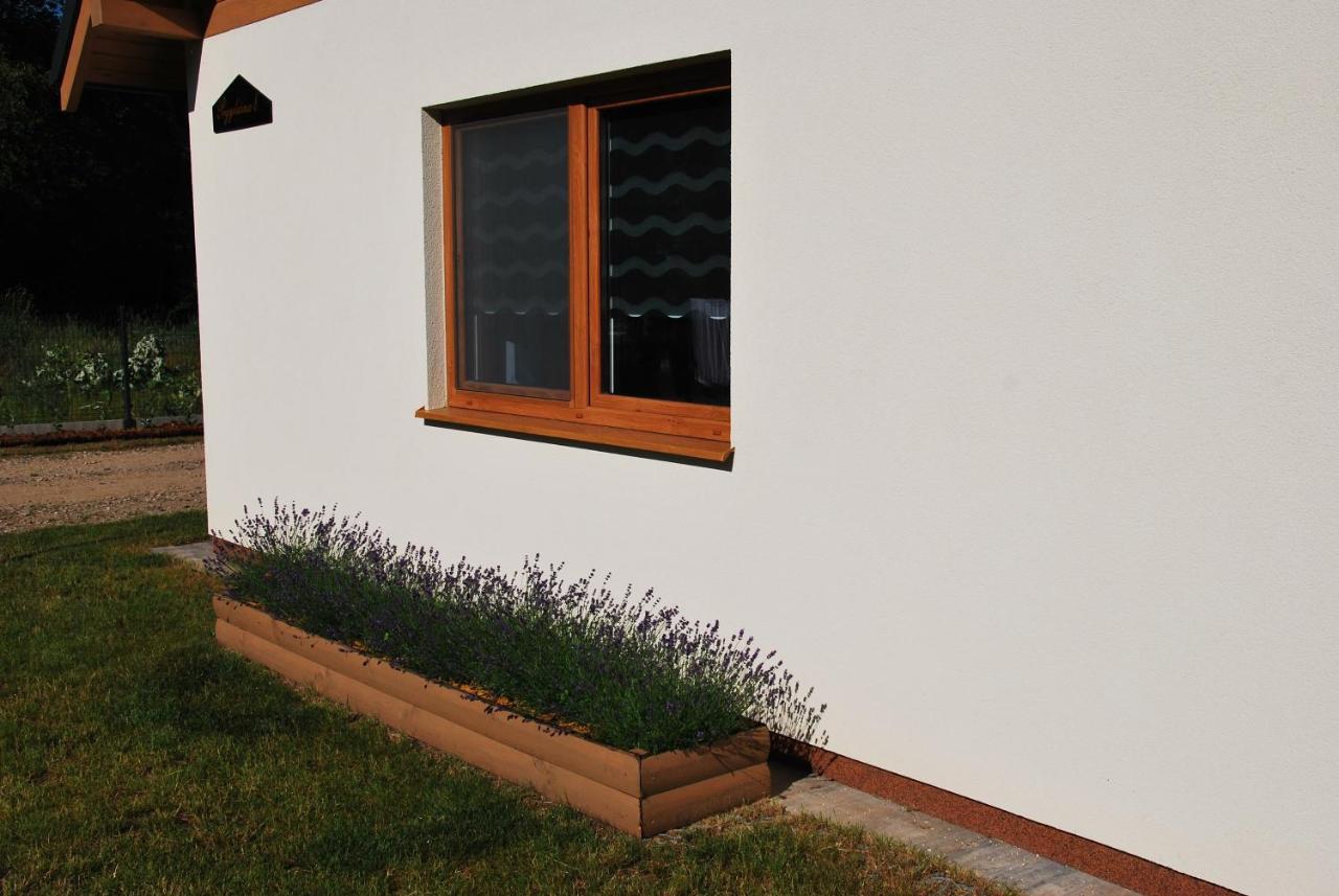Forest House Sasino-Spa Sauna Balia Zewnętrze zdjęcie